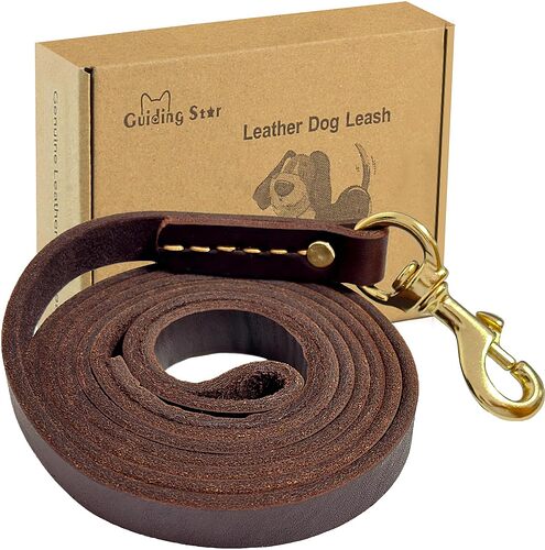 Dog Leash